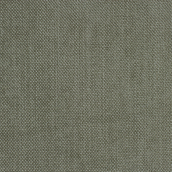 1552 AmbraX Fabric By Delius Cat