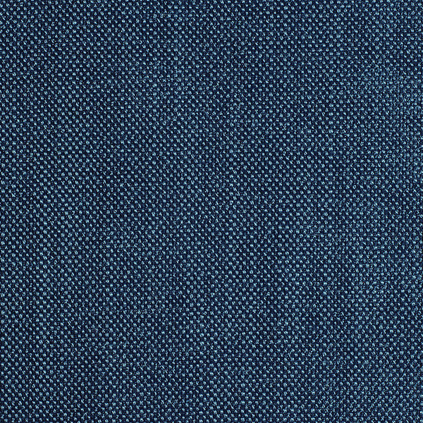 5551 AmbraX Fabric By Delius Cat