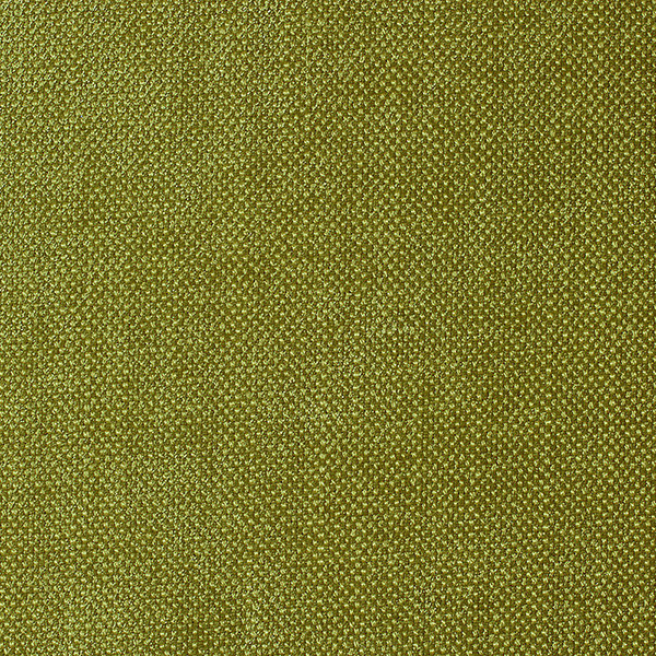 6550 AmbraX Fabric By Delius Cat
