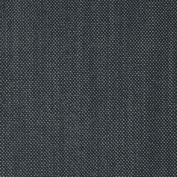 7551 AmbraX Fabric By Delius Cat