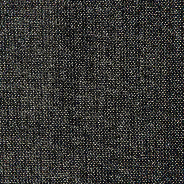 7552 AmbraX Fabric By Delius Cat
