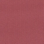 4079 One Fabric By Fidivi Cat