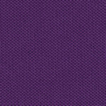 5503 One Fabric By Fidivi Cat