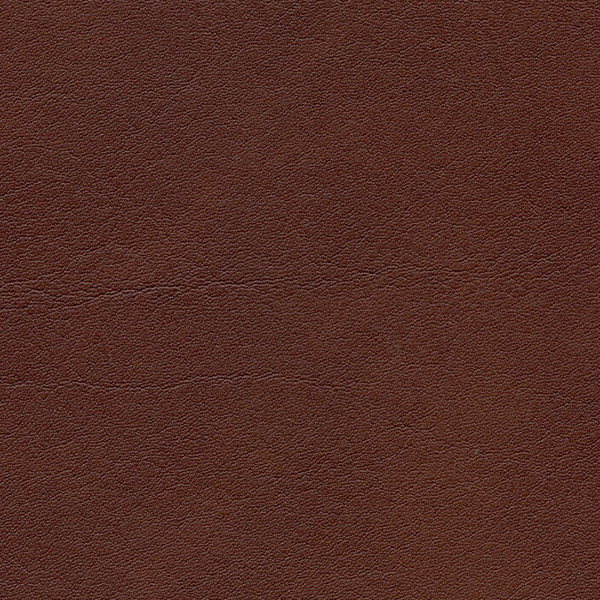 F6410707 Niger Palma NF Artificial Leather By Skai Cat