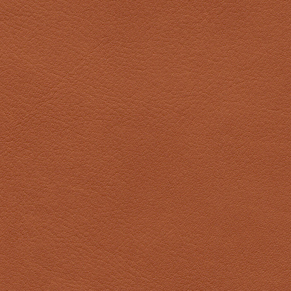 F6410929 Whisky Palma NF Artificial Leather By Skai Cat