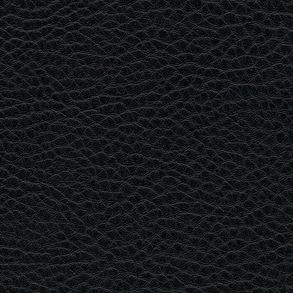 F6461659 Schwarz Parotega NF Artificial Leather By Skai Cat