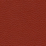 F6461702 Iachs Parotega NF Artificial Leather By Skai Cat