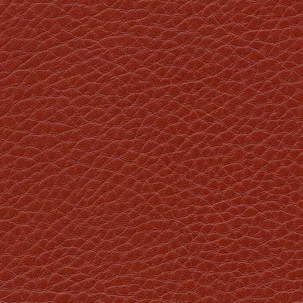 F6461702 Iachs Parotega NF Artificial Leather By Skai Cat