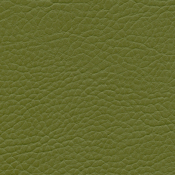 F6461705 Olivegrun Parotega NF Artificial Leather By Skai Cat