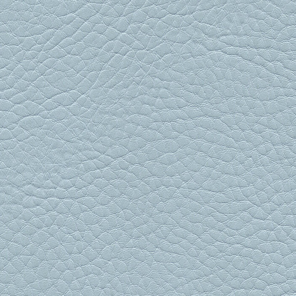 F6461708 Gletscher Parotega NF Artificial Leather By Skai Cat
