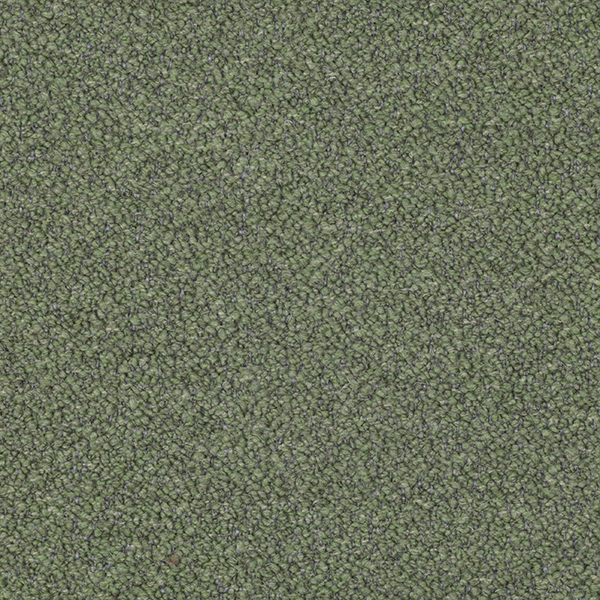 02-26_Orsetto_Fabric_Cat