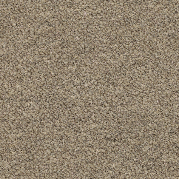 05-10_Orsetto_Fabric_Cat