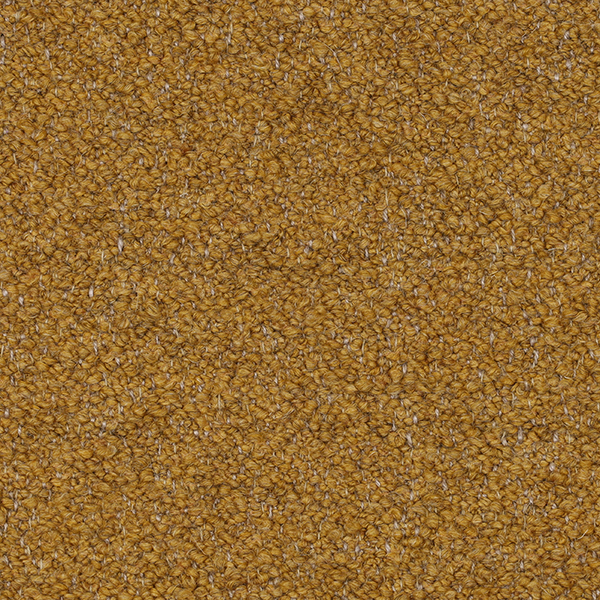 05-6_Orsetto_Fabric_Cat