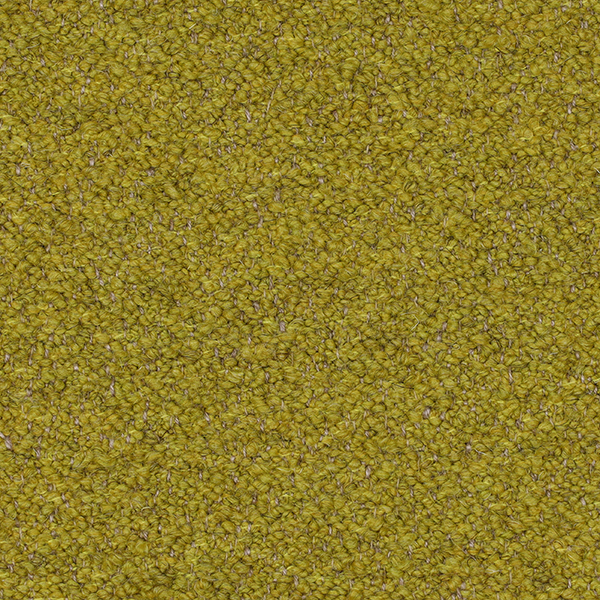 05-9_Orsetto_Fabric_Cat