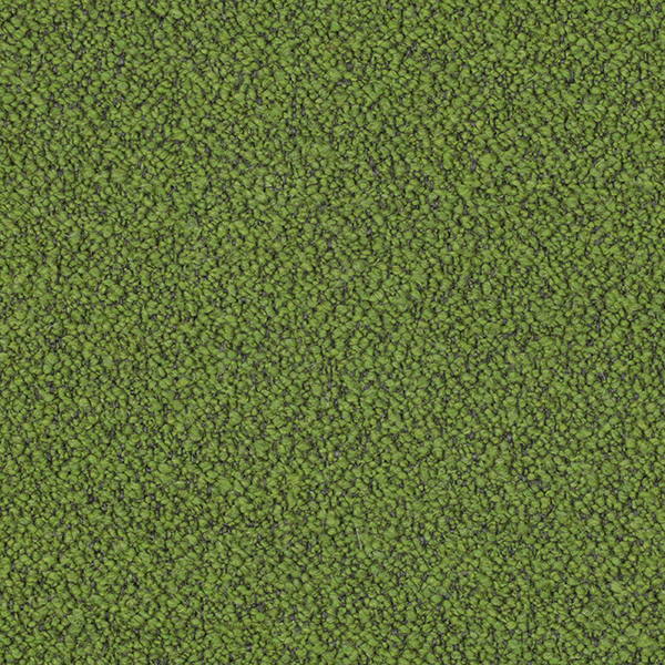 09-107_Orsetto_Fabric_Cat
