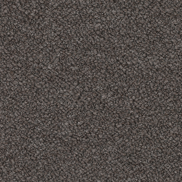 09-12_Orsetto_Fabric_Cat