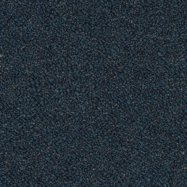 09-23_Orsetto_Fabric_Cat