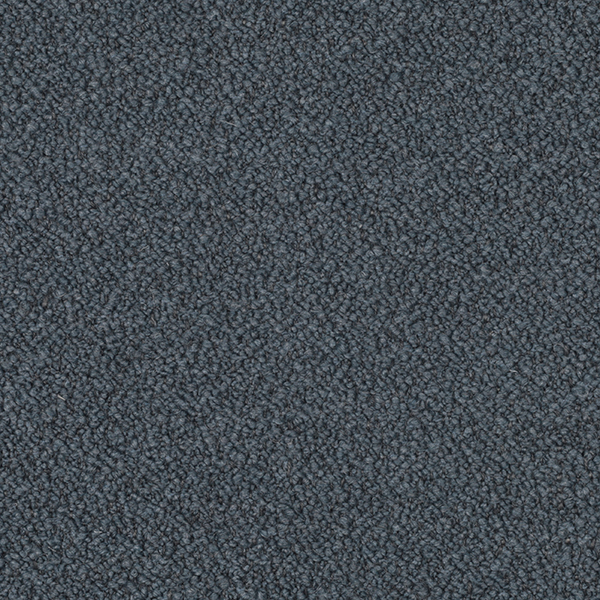 09-92_Orsetto_Fabric_Cat