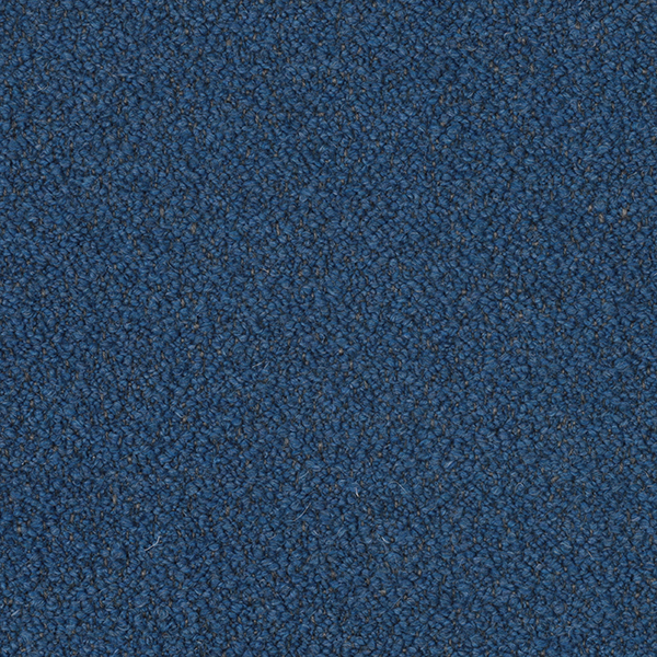 09-98_Orsetto_Fabric_Cat