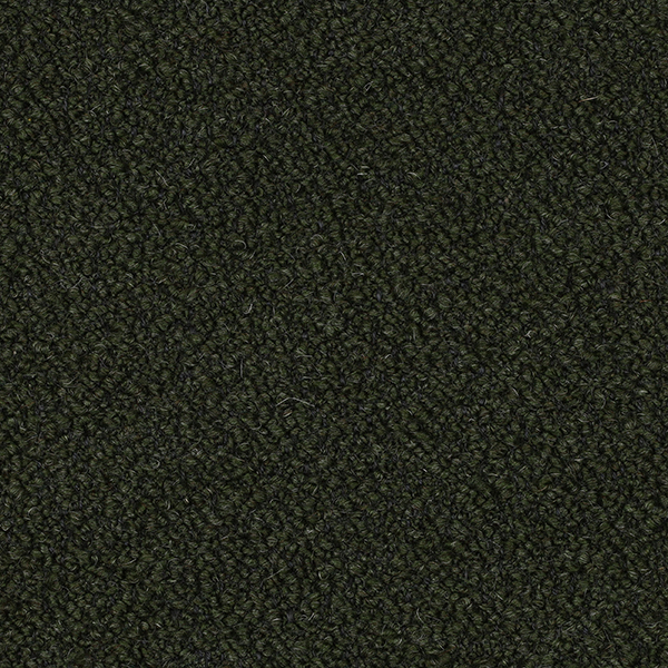 98-18_Orsetto_Fabric_Cat