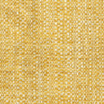 01-19_Hira_Fabric_Cat
