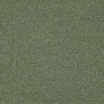 02-26_Orsetto_Fabric_Cat