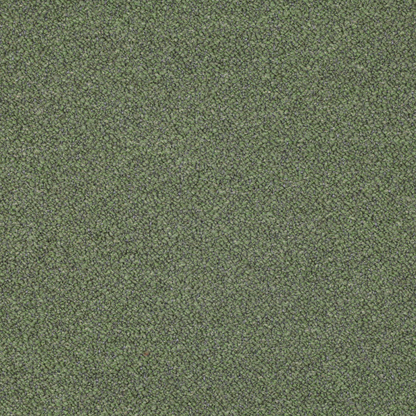 02-26_Orsetto_Fabric_Cat