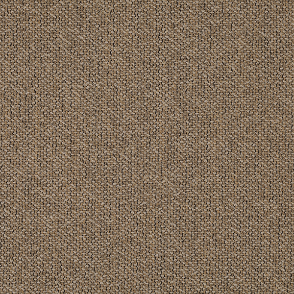 02_Coil_Fabric_Cat