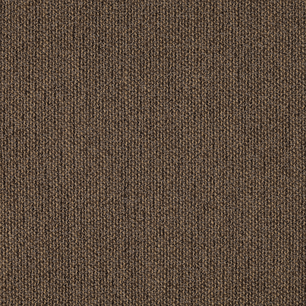 04_Coil_Fabric_Cat