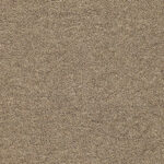 05-10_Orsetto_Fabric_Cat