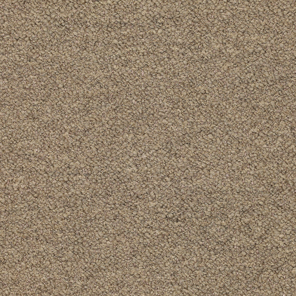 05-10_Orsetto_Fabric_Cat