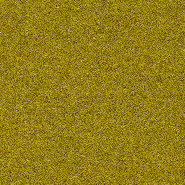 05-9_Orsetto_Fabric_Cat