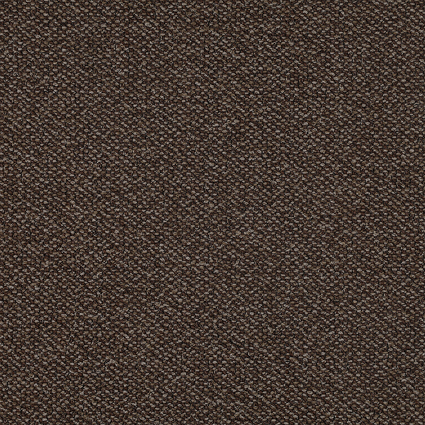 05_Coil_Fabric_Cat