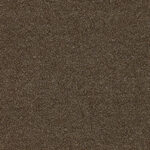 07-11_Orsetto_Fabric_Cat