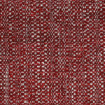 08-13_Hira_Fabric_Cat