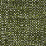 08-21_Hira_Fabric_Cat