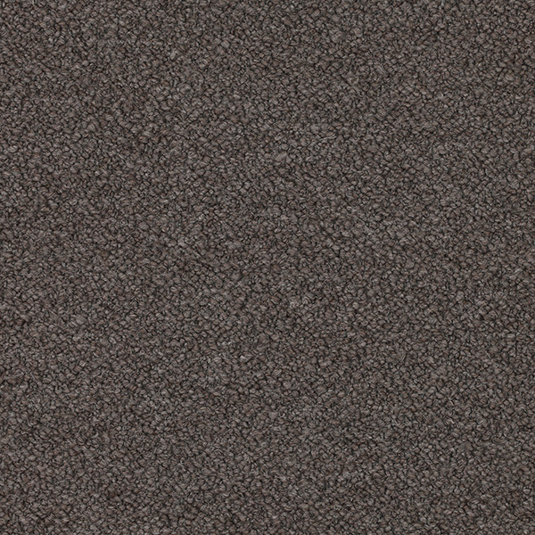 09-12_Orsetto_Fabric_Cat