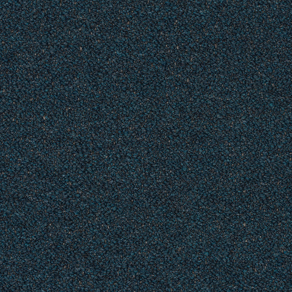 09-23_Orsetto_Fabric_Cat
