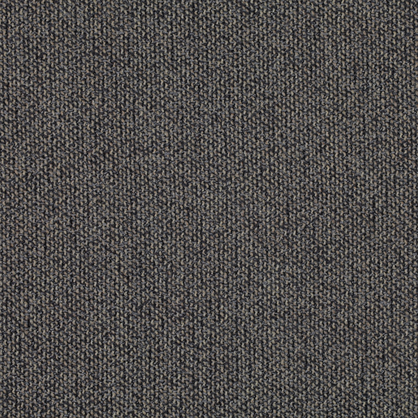 09_Coil_Fabric_Cat