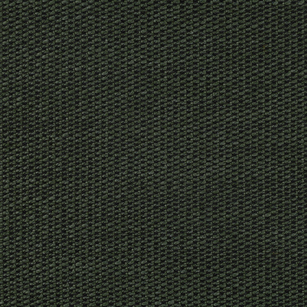 09_Twist_Fabric_Cat