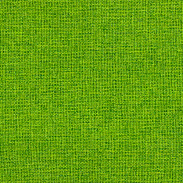 10_SoleCS_Fabric_Cat