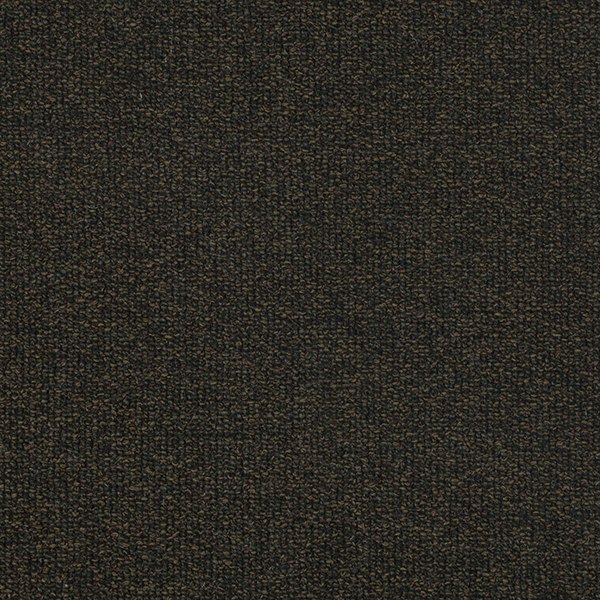 11_Coil_Fabric_Cat