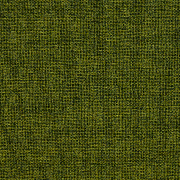 11_SoleCS_Fabric_Cat