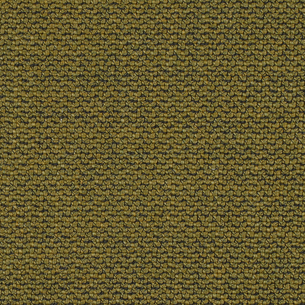 25_Patton_Fabric_Cat
