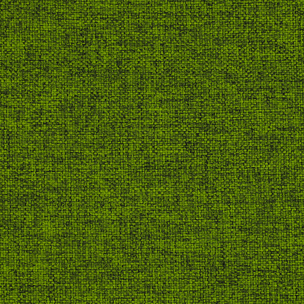 410_SoleCS_Fabric_Cat
