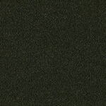 98-18_Orsetto_Fabric_Cat